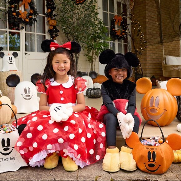 Pottery Barn Kids PBK Disney Minnie Mouse Costume Size 4-6 Excellent Condition - Picture 5 of 15